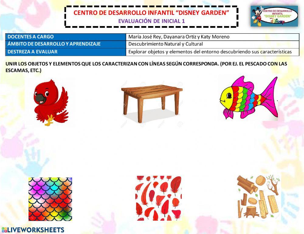 Características de los objetos Dayanara Ortiz Live