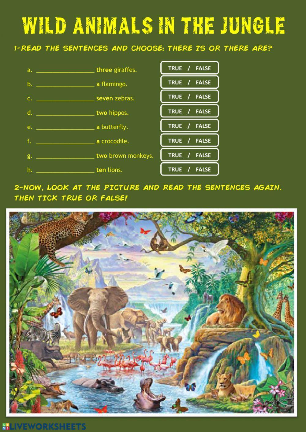 Animals + There is - There are