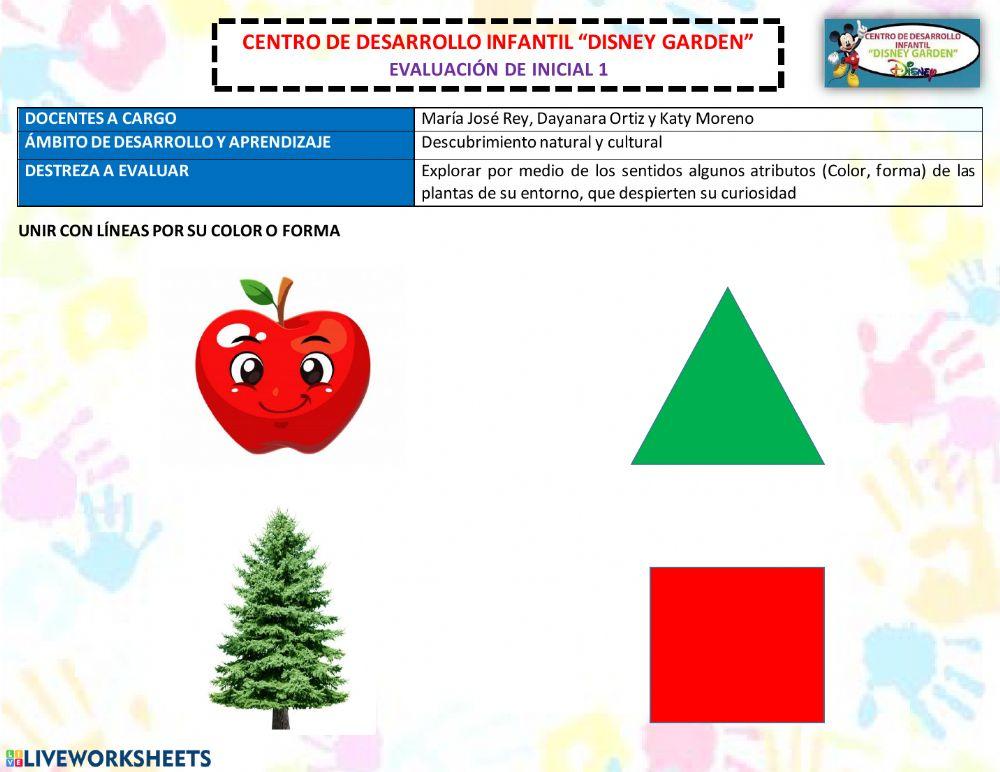 Atributos: color y forma