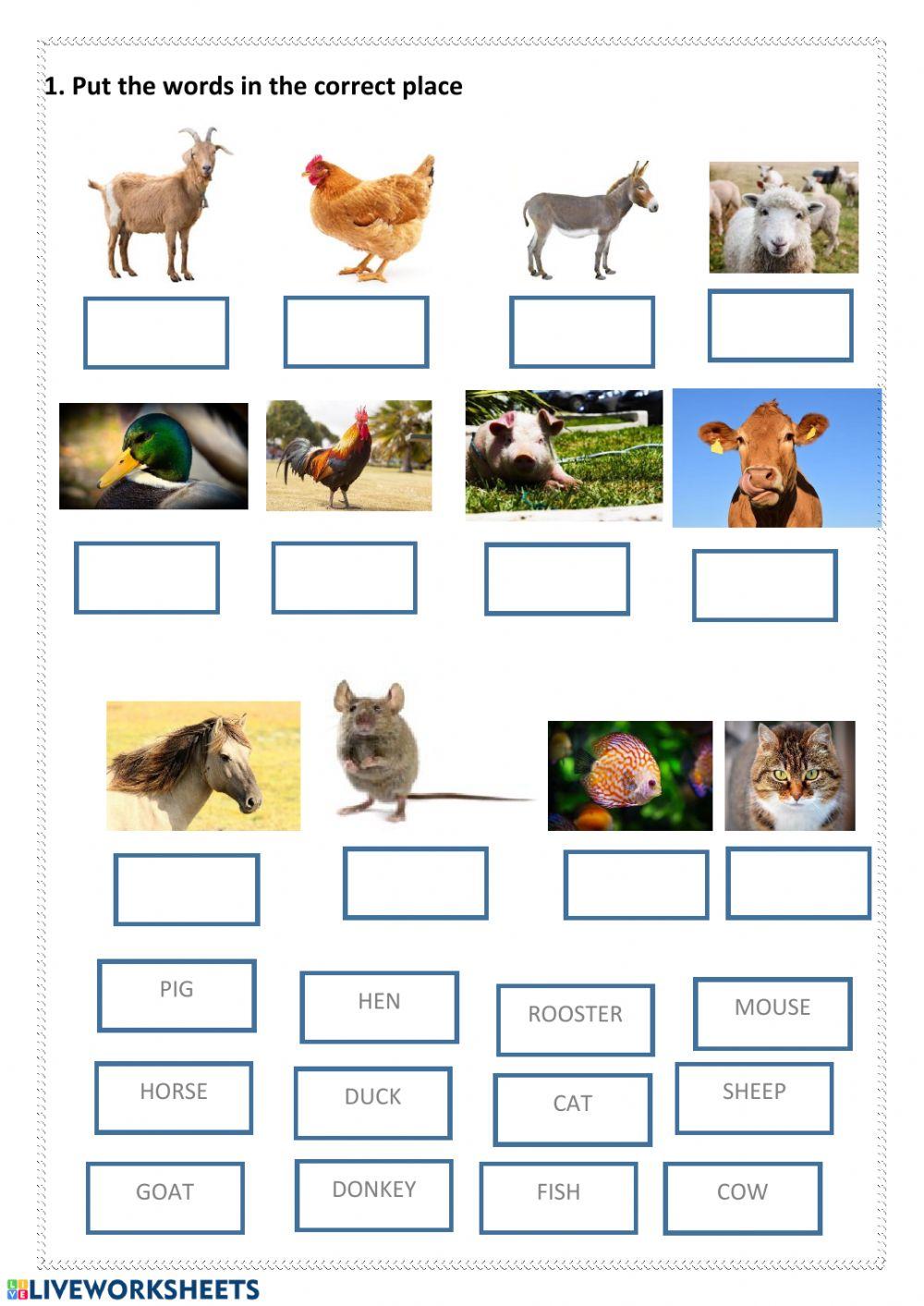 Farm animals adjectives
