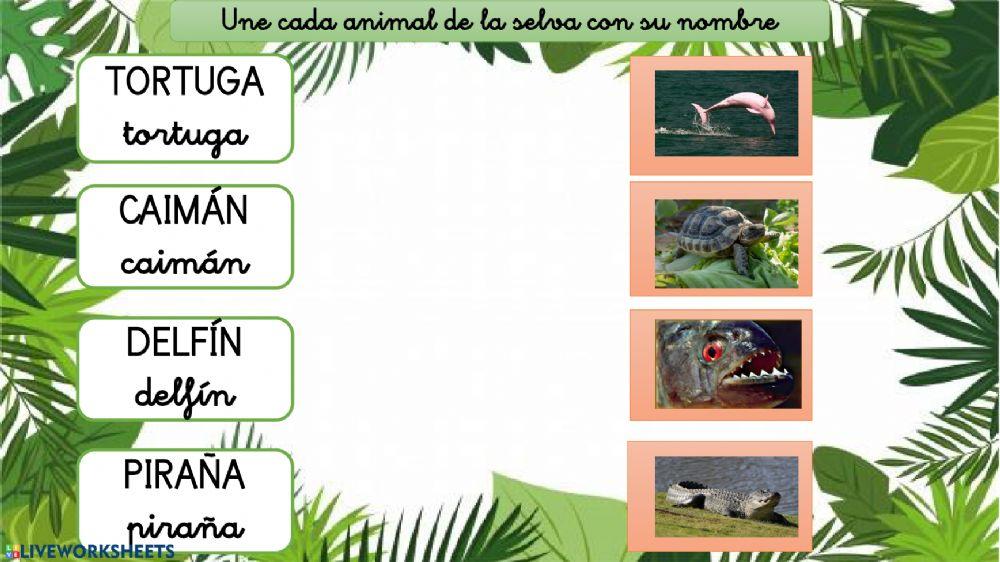Animales de la selva