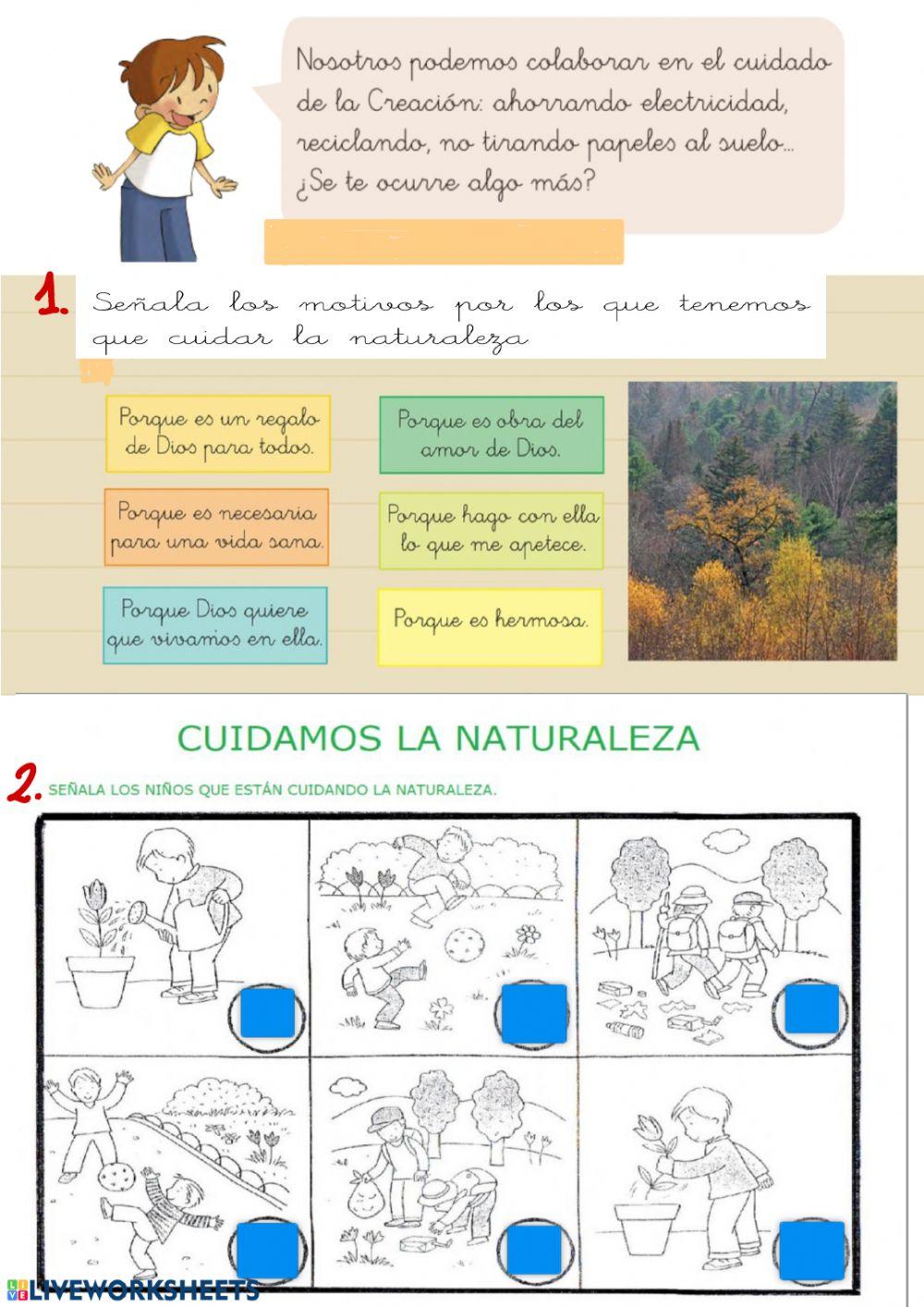 Colaboro con la Creación