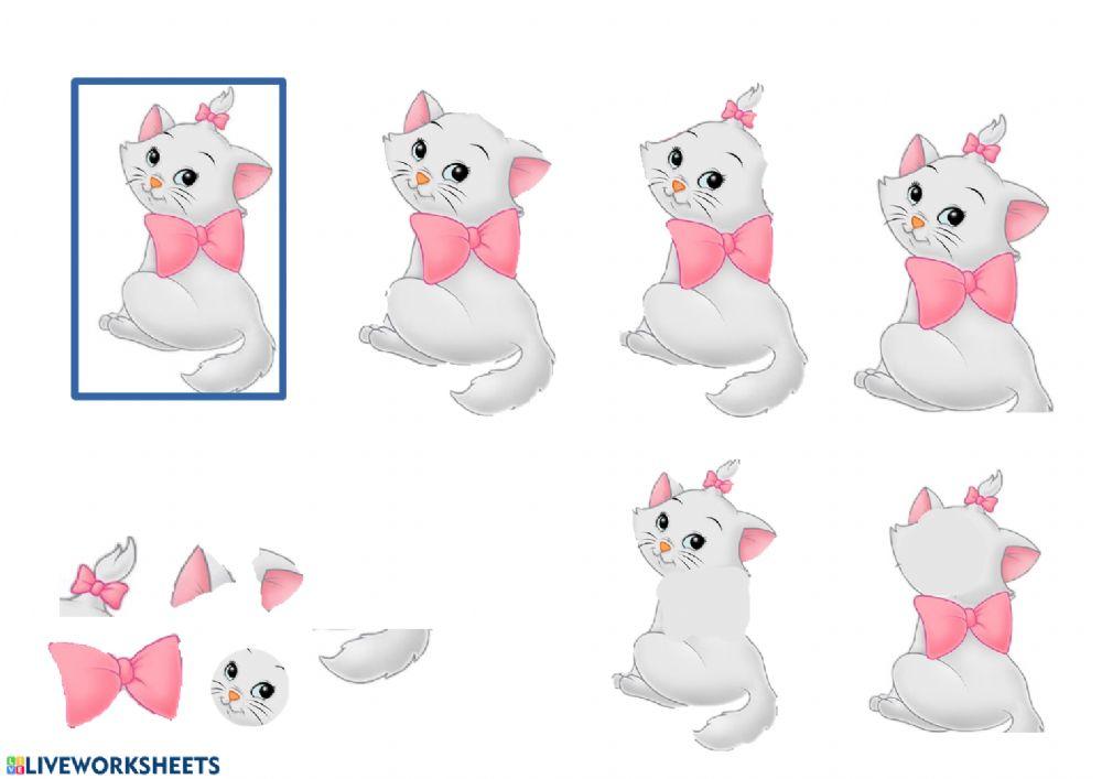 Completa las partes de la gata