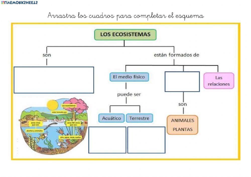 Ecosistemas esquema