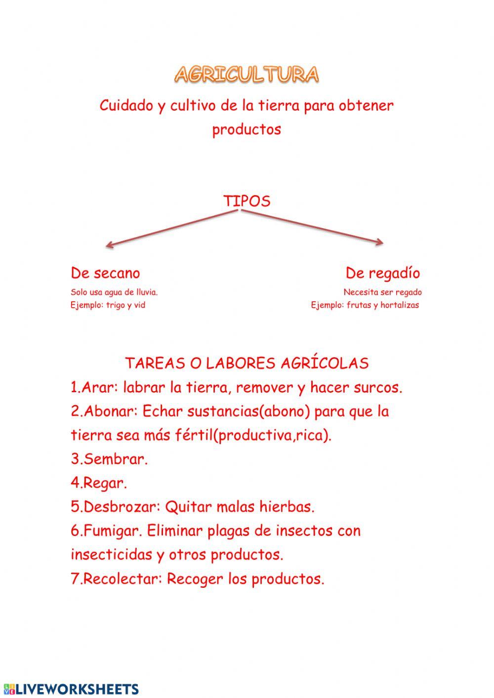 Sector Primario (Agricultura y ganadería)