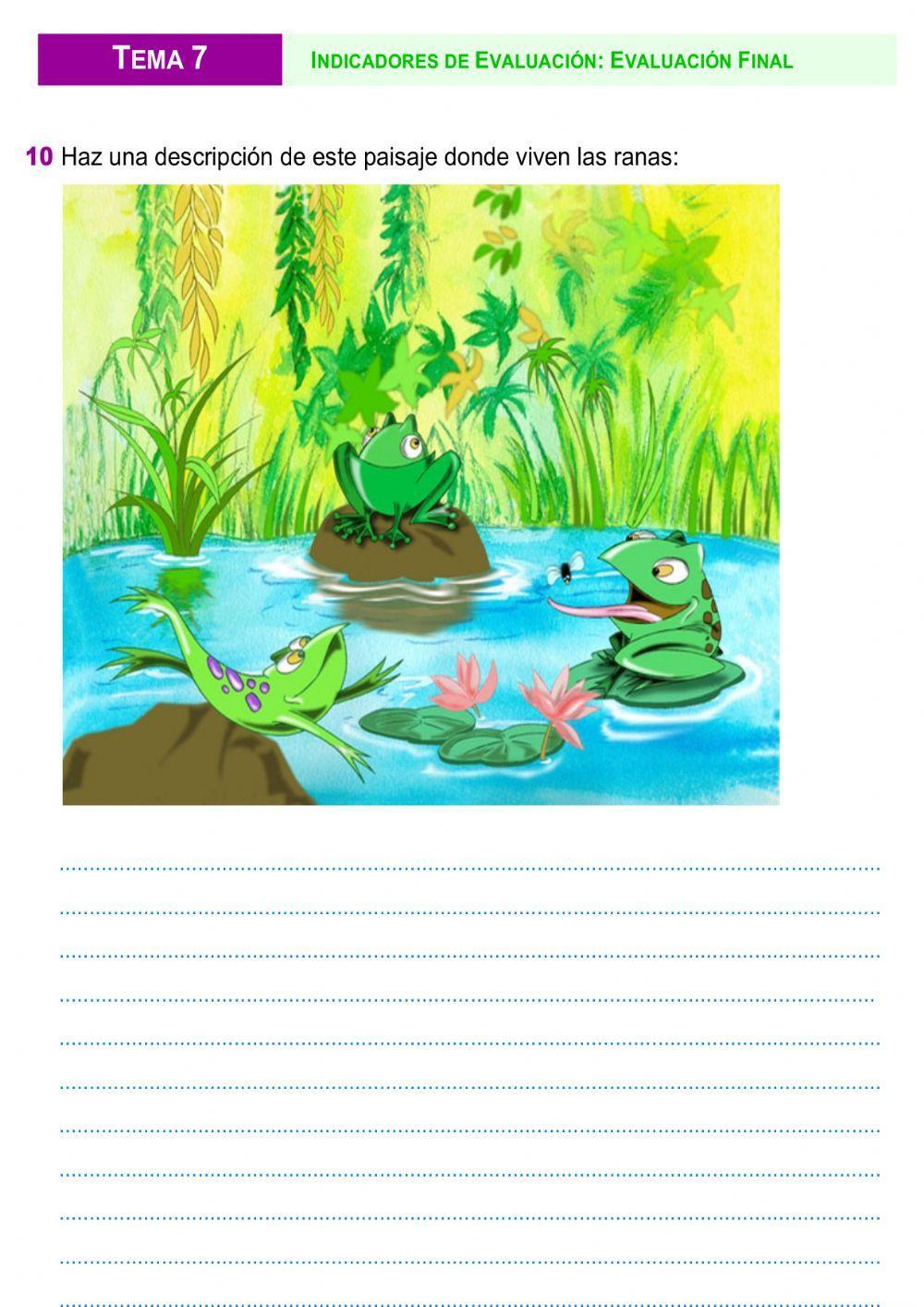 Descripción de paisajes