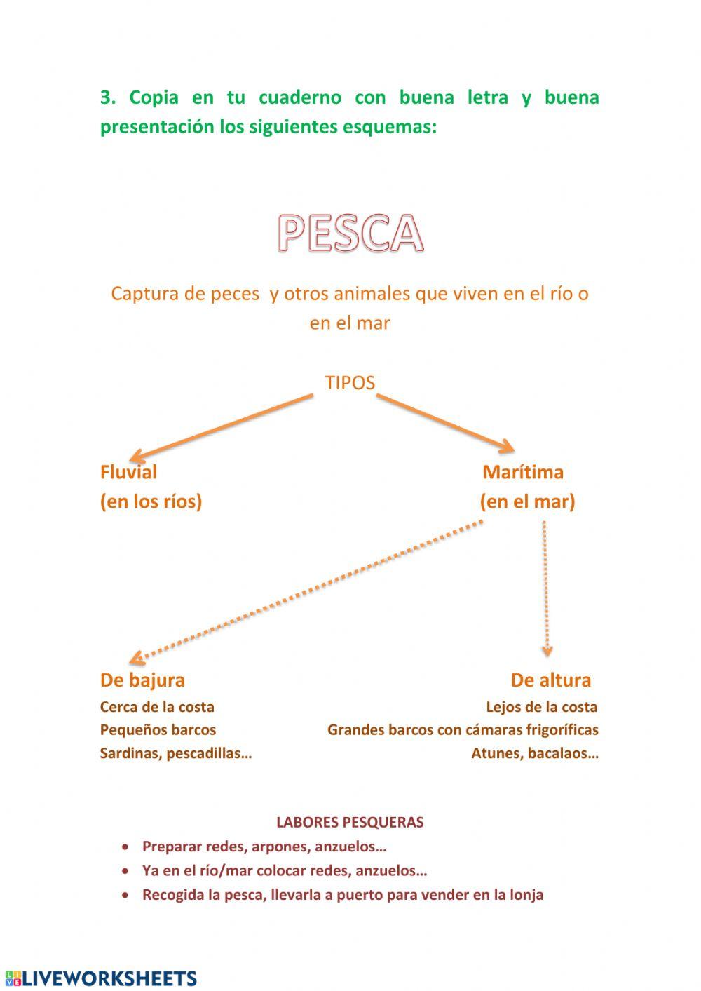 Sector Primario2 (Pesca y minería)