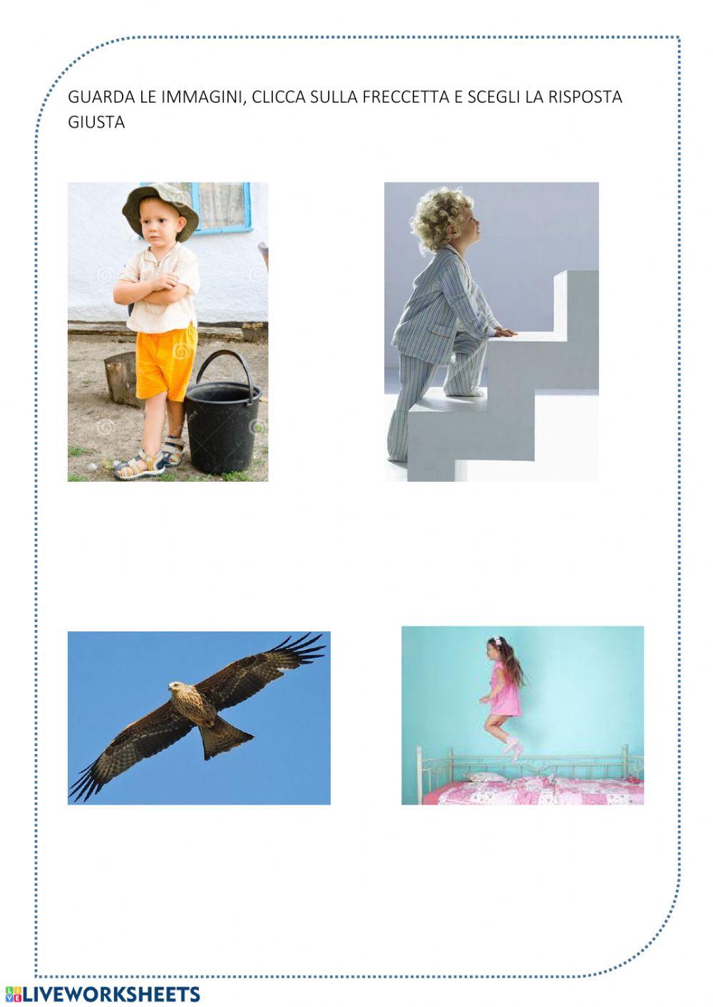 Leggi le frasi e scegli quella giusta