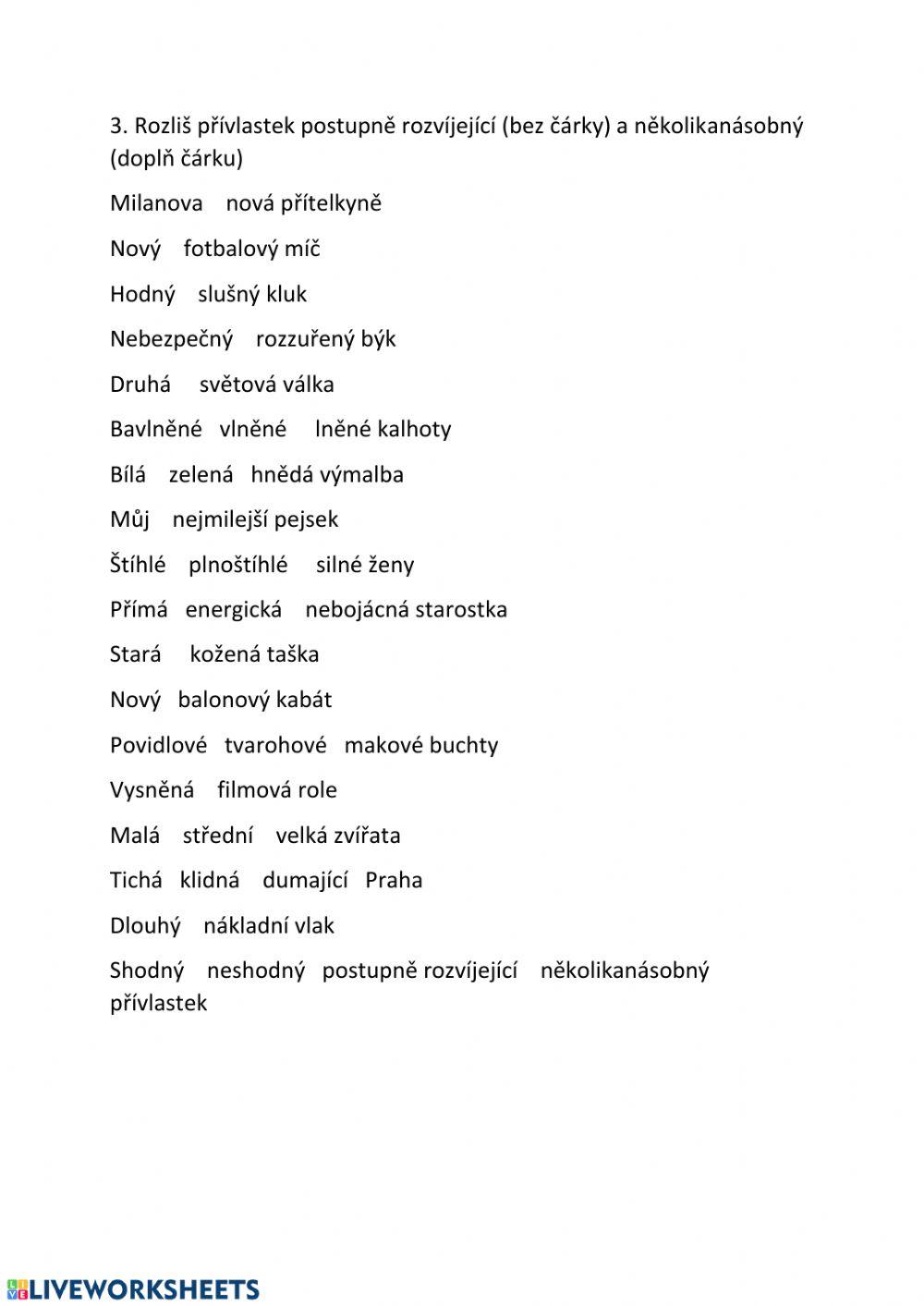 Přívlastky - shodný, neshodný, postupně rozvíjející, několikanásobný 1
