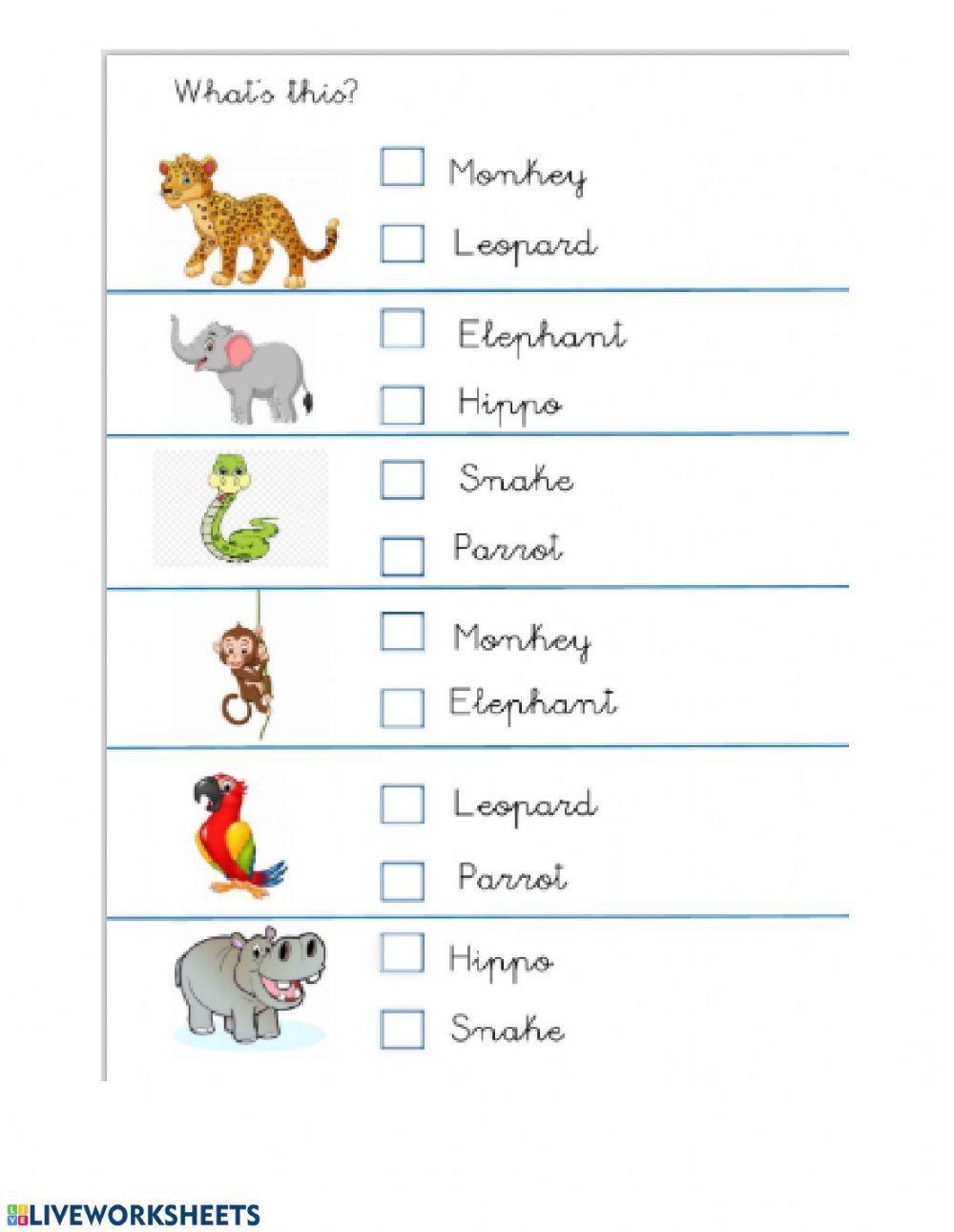 Select the animal