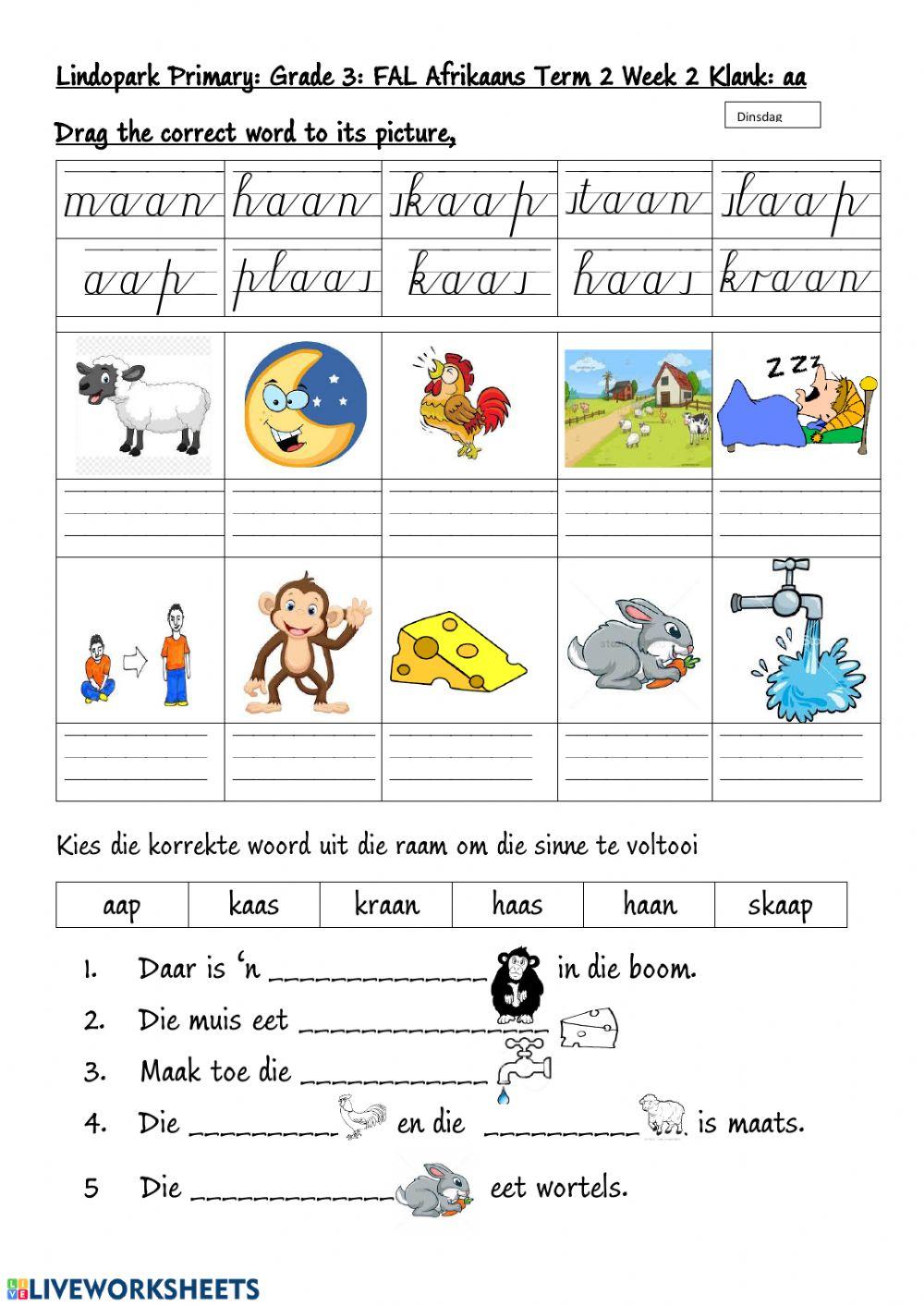 Grade 3 FAL:Afrikaans Term 2 Week 2 aa-klank worksheet 2