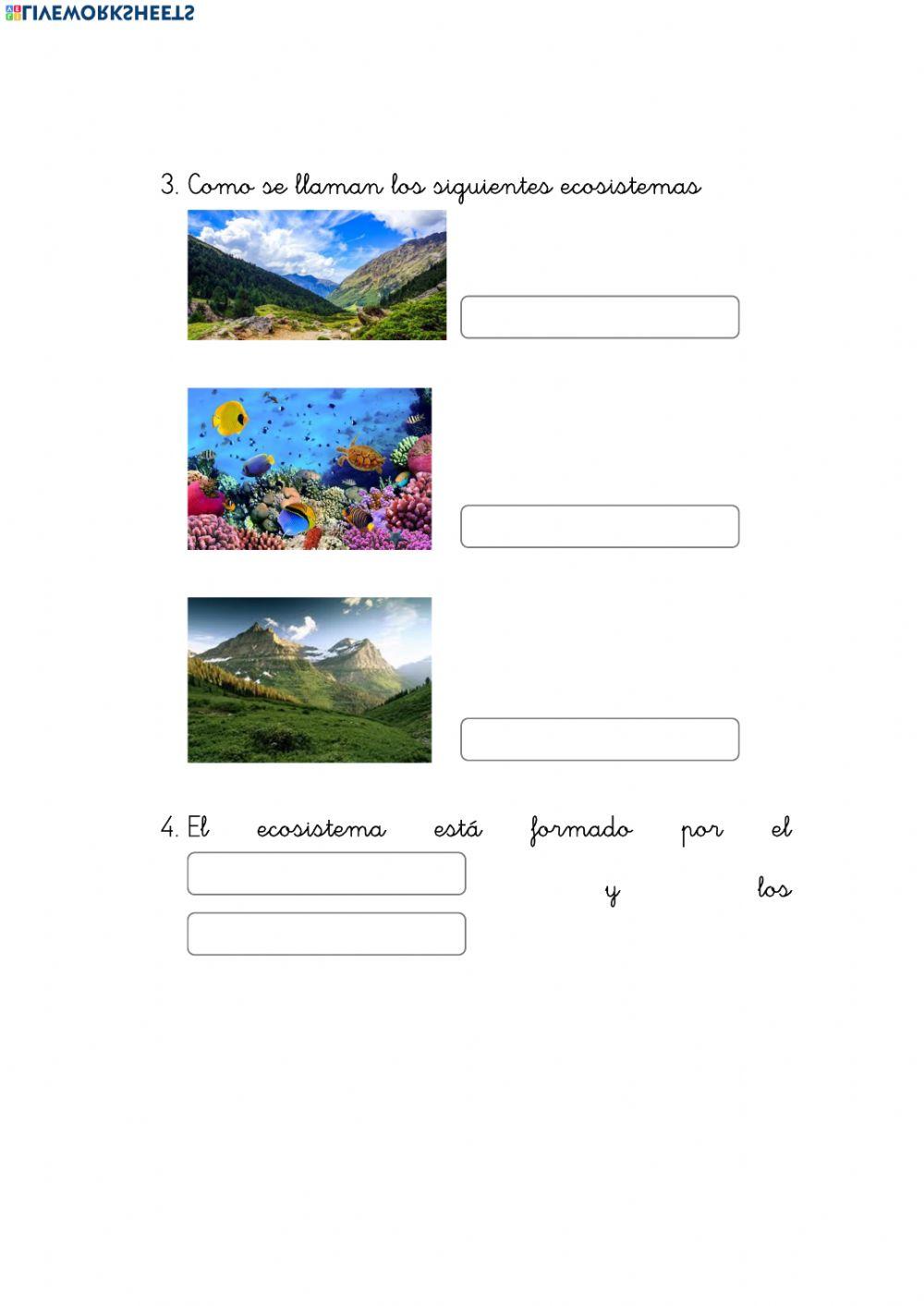 concurso ecosistemas