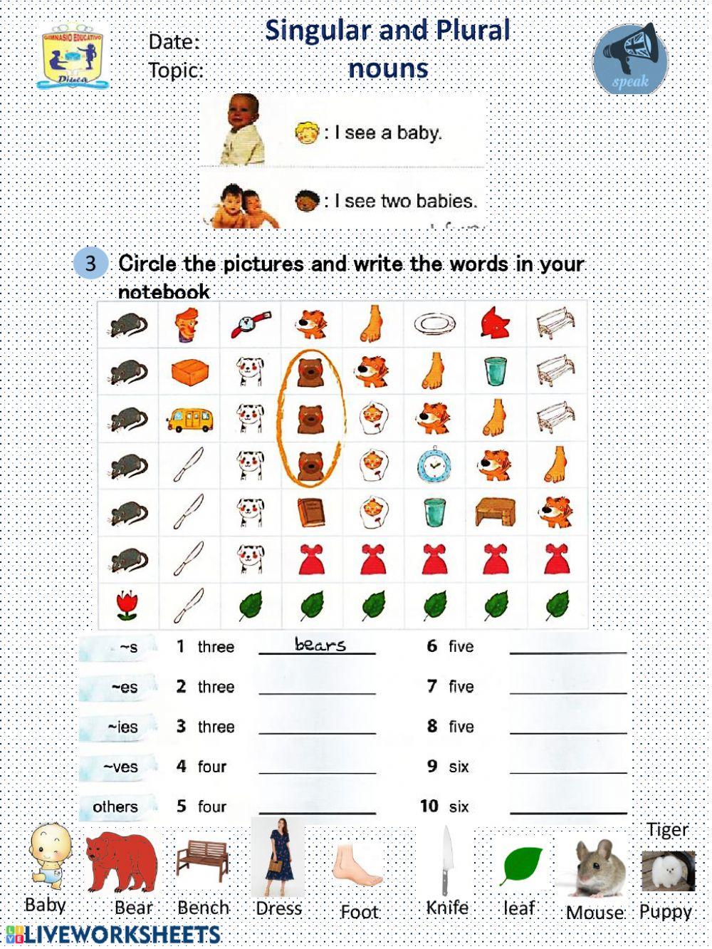 Singular and Plural Noun