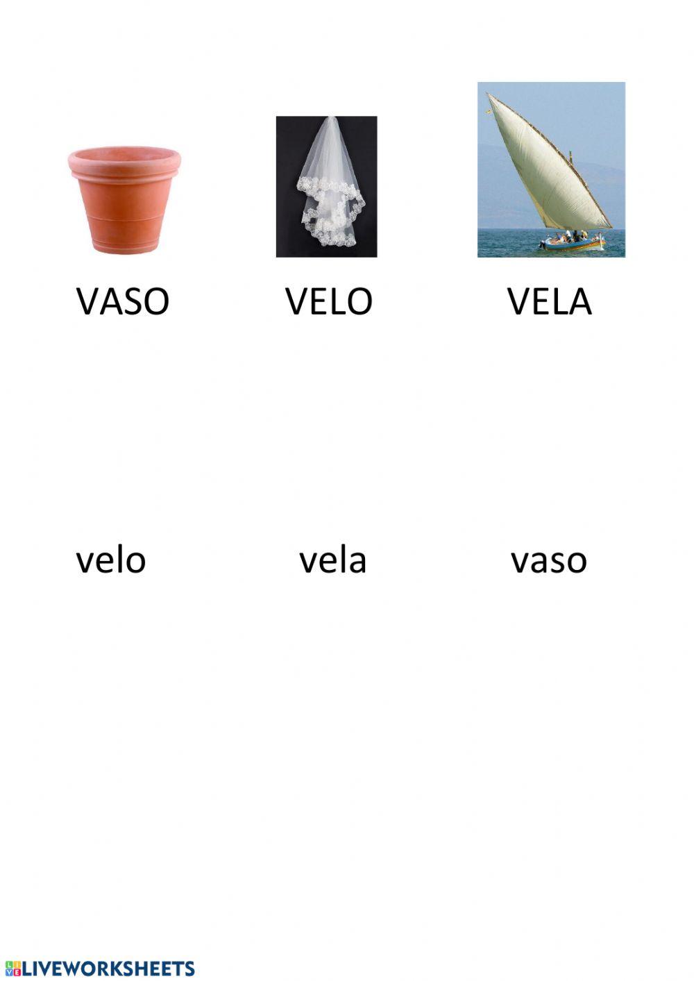 Stampato maiuscolo-minuscolo