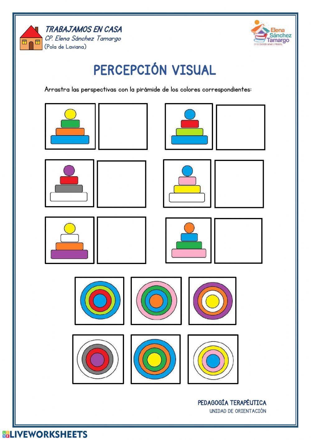 Percepción visual
