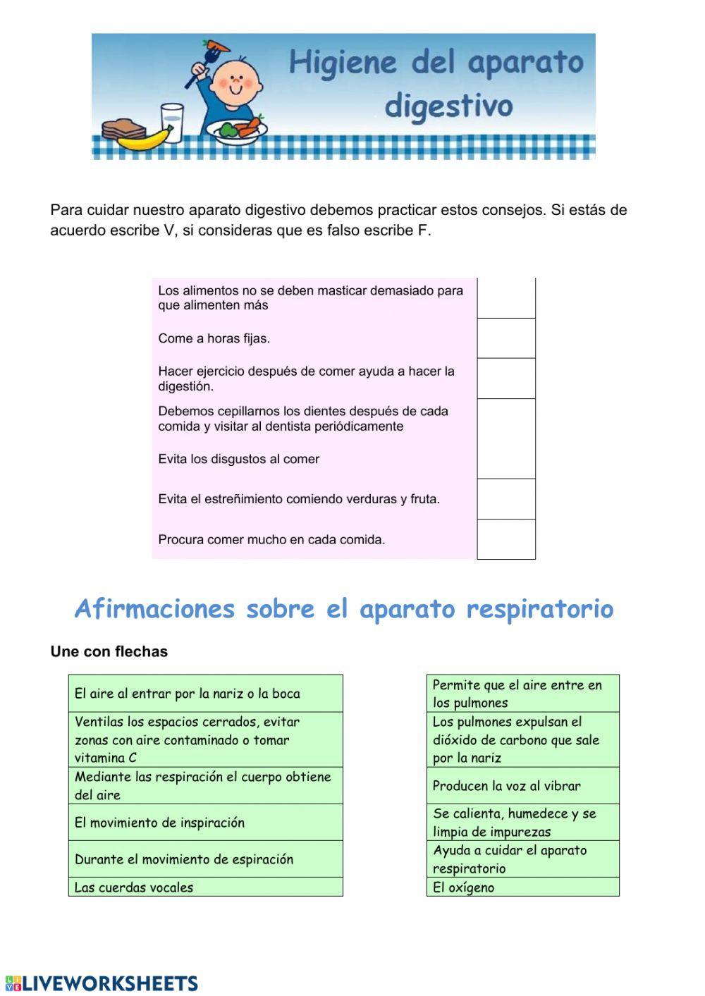 Cuidados del aparato digestivo
