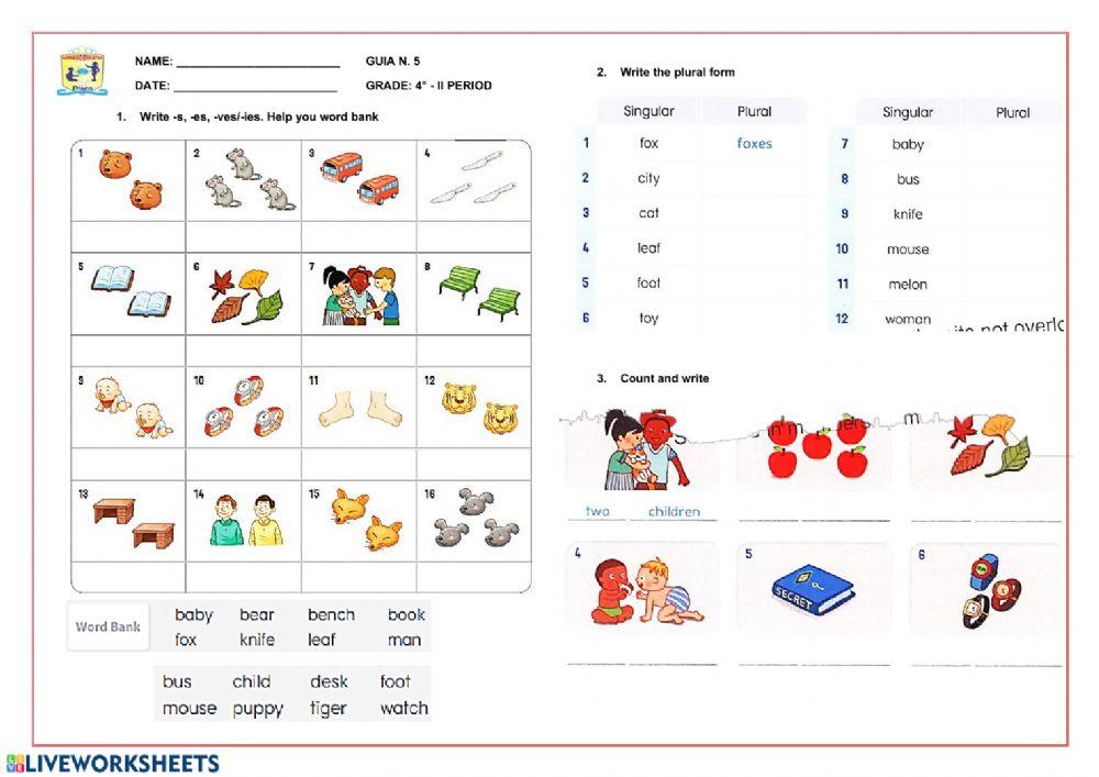 Singular and Plural Noun exercise