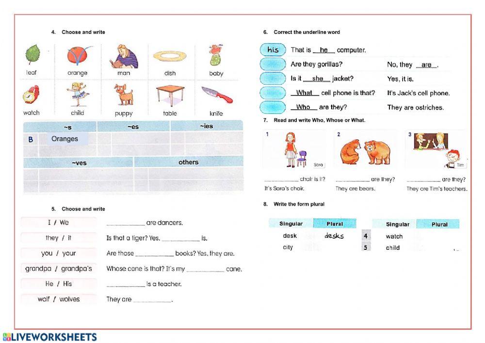 Singular and Plural Noun exercise