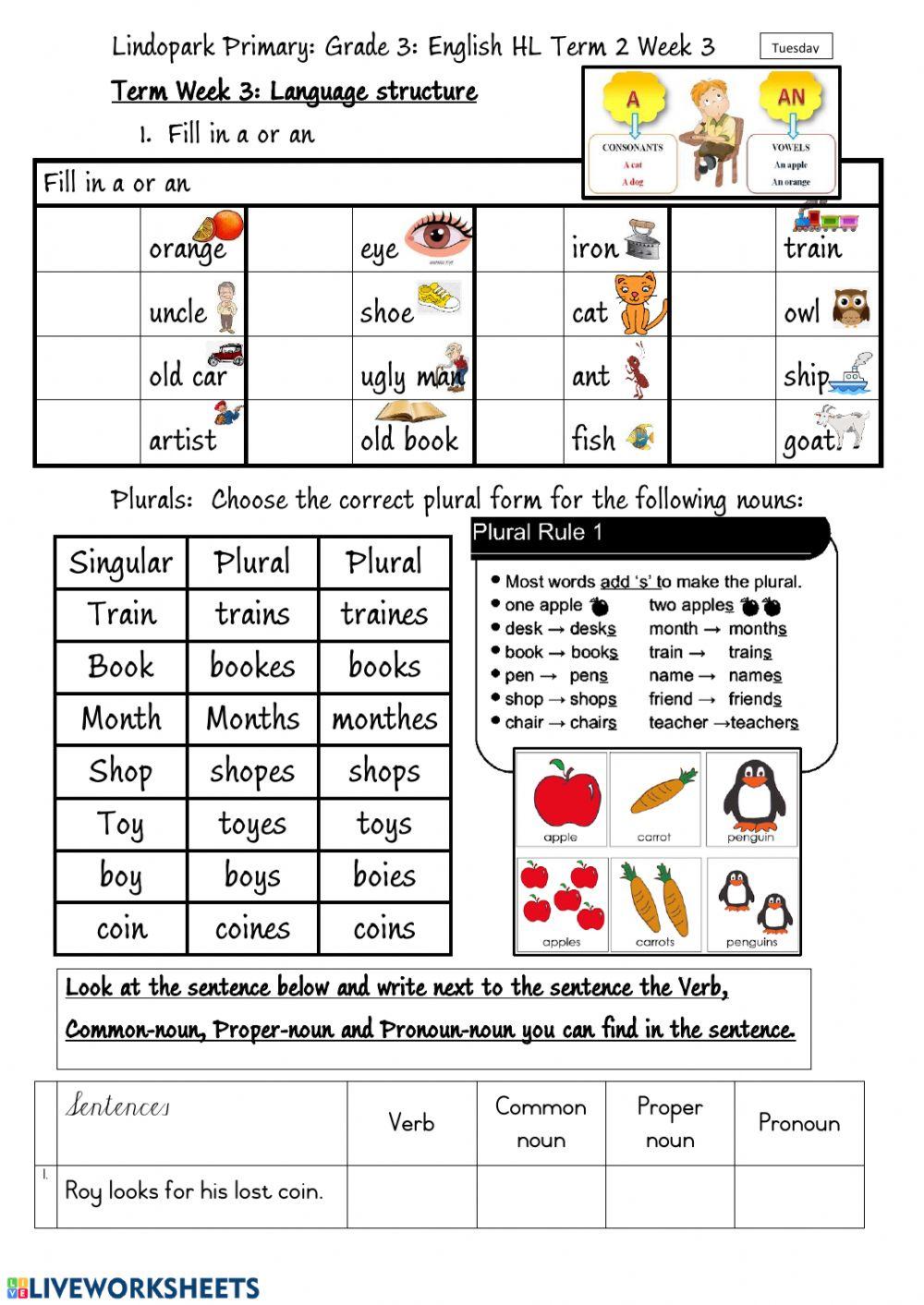 Grade 3 English HL Term 3 Week 13  Phonic oi Worksheet 2