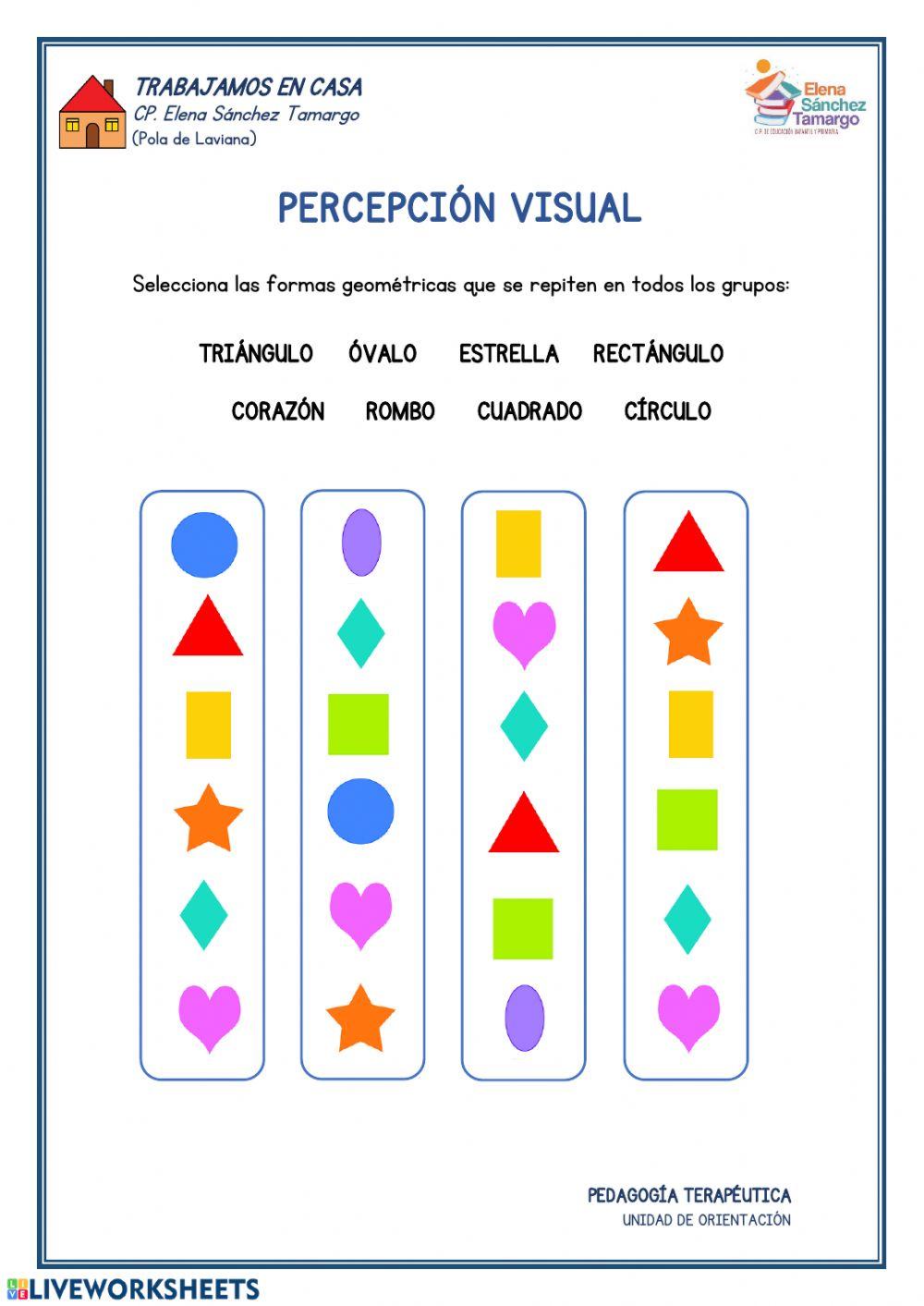 Percepción visual
