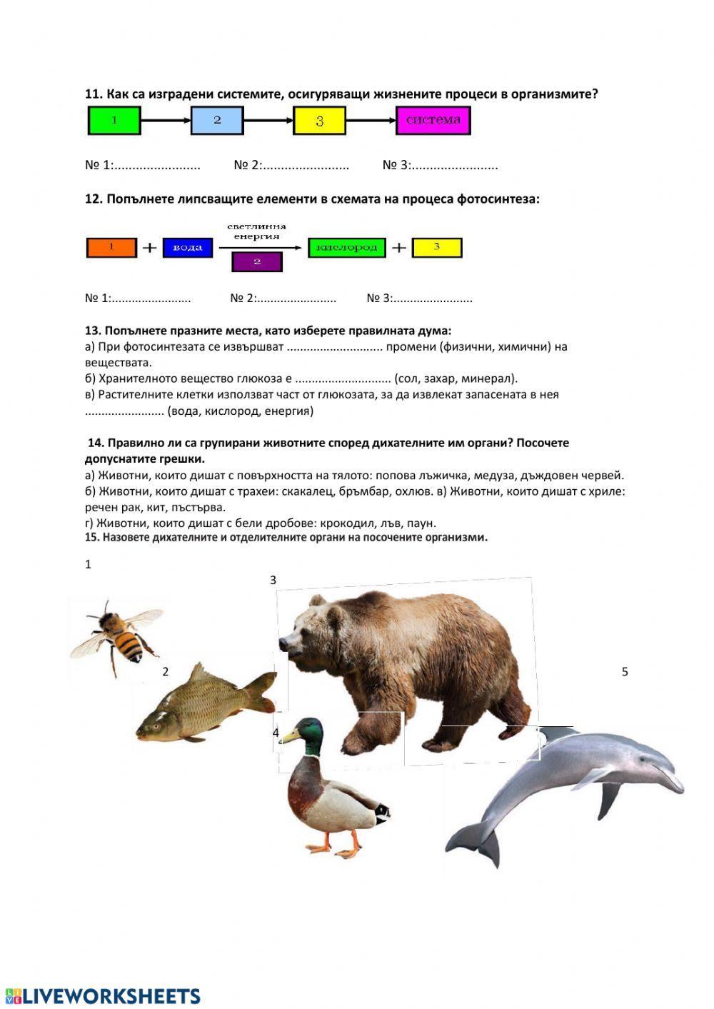 Храносмилателна система