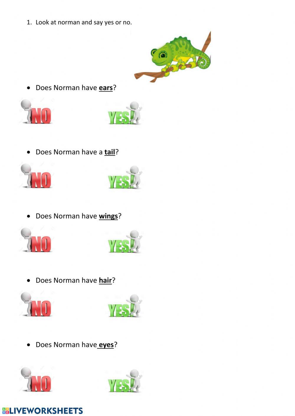 English unit 6 have got y can