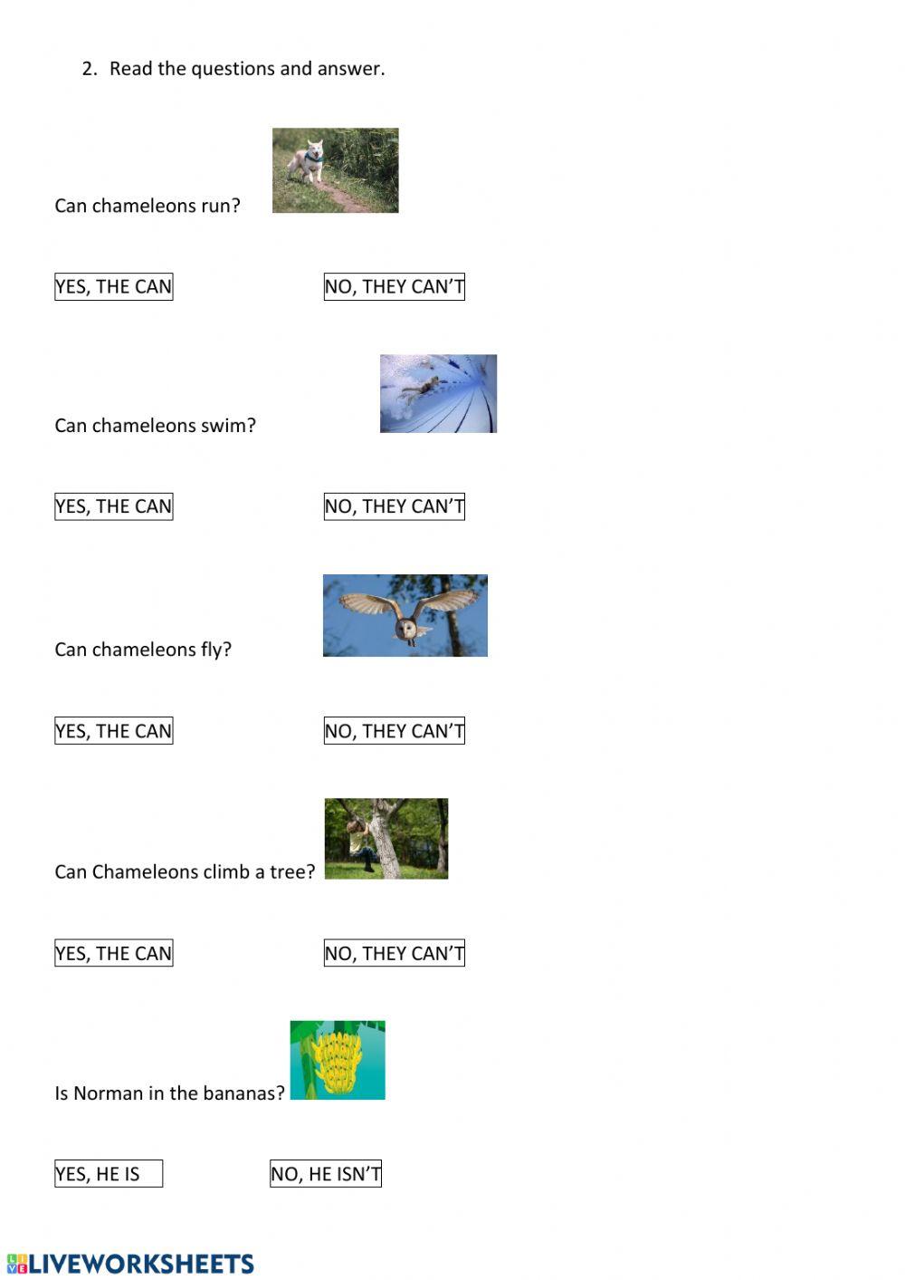 English unit 6 have got y can