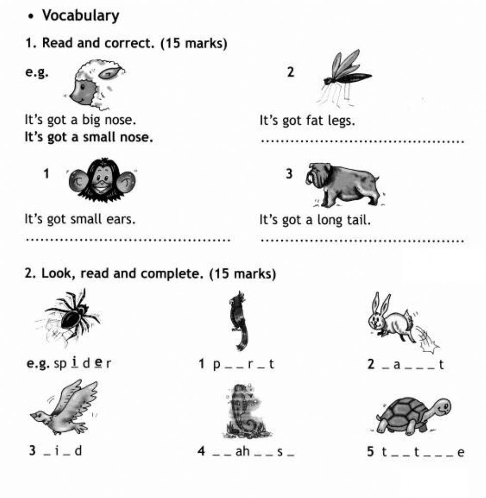 modular test 5 page 3 grade 3