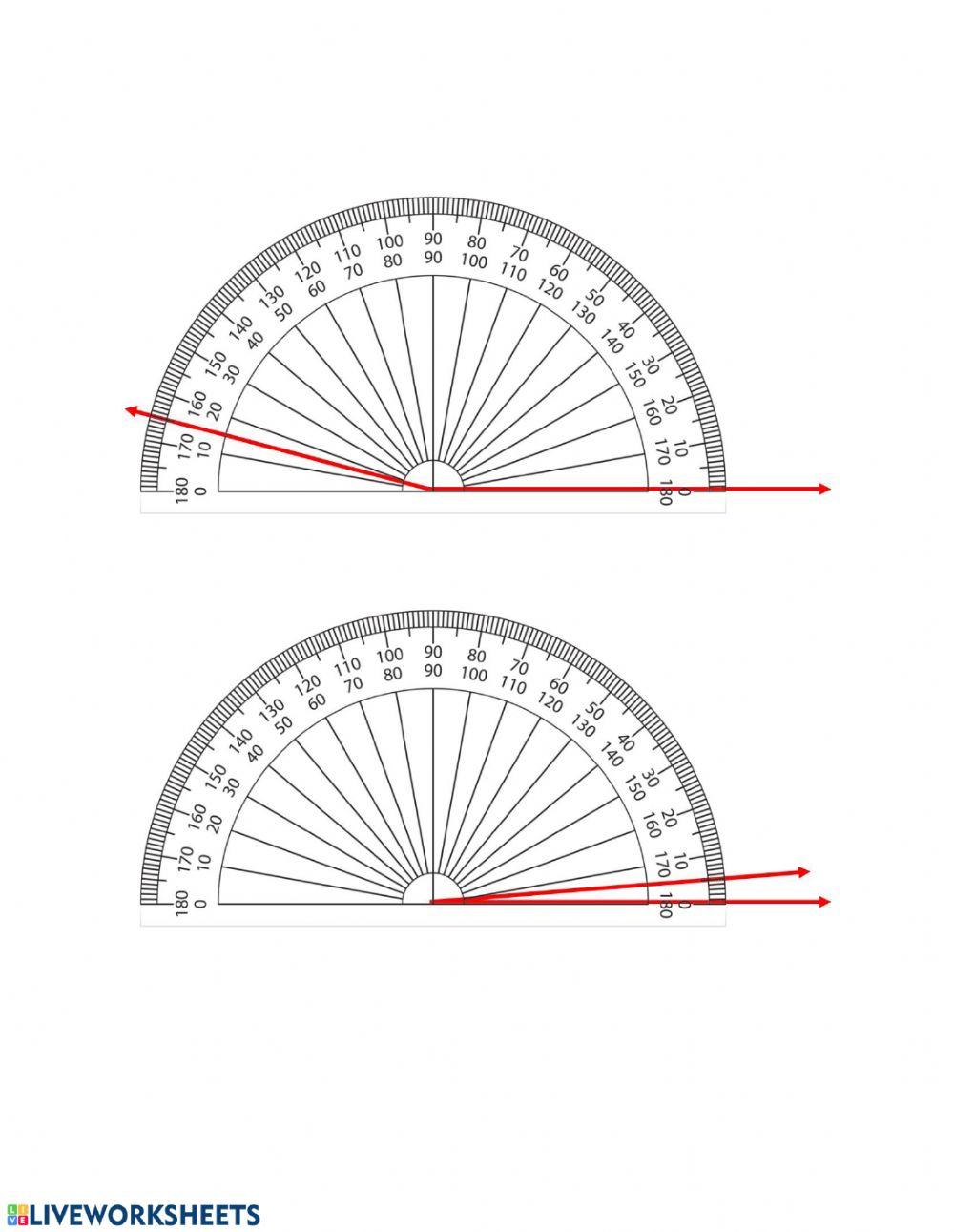 How to Use a Protractor