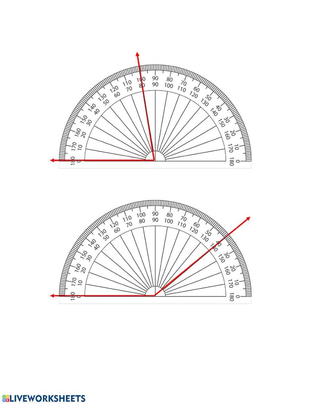How to Use a Protractor