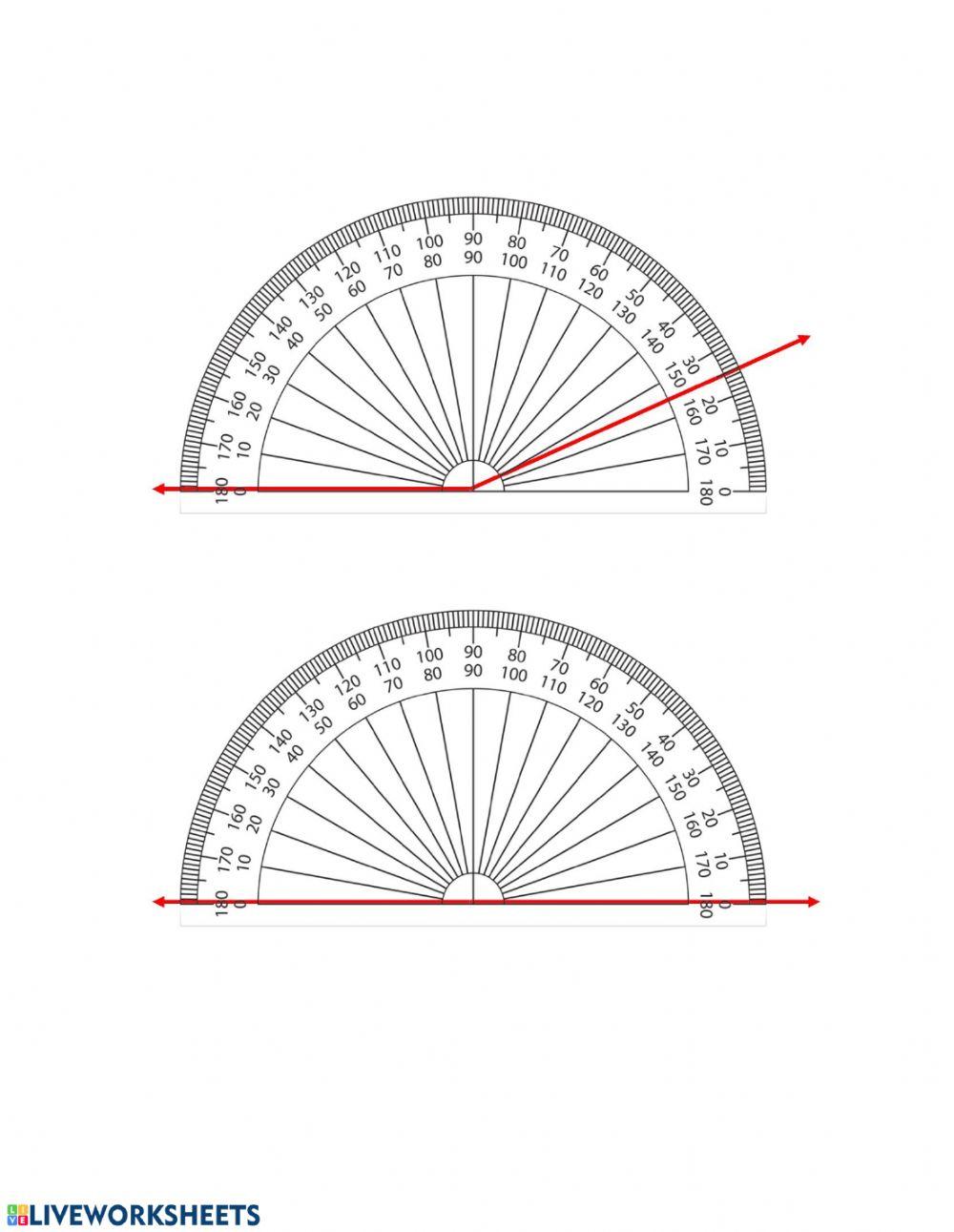 How to Use a Protractor
