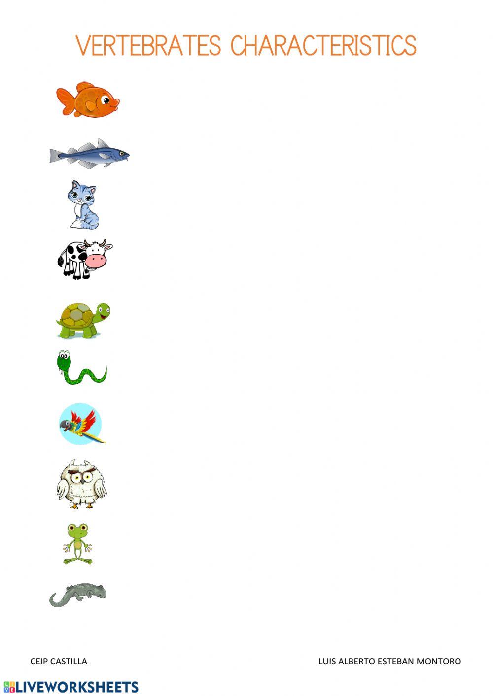 Vertebrates characteristics