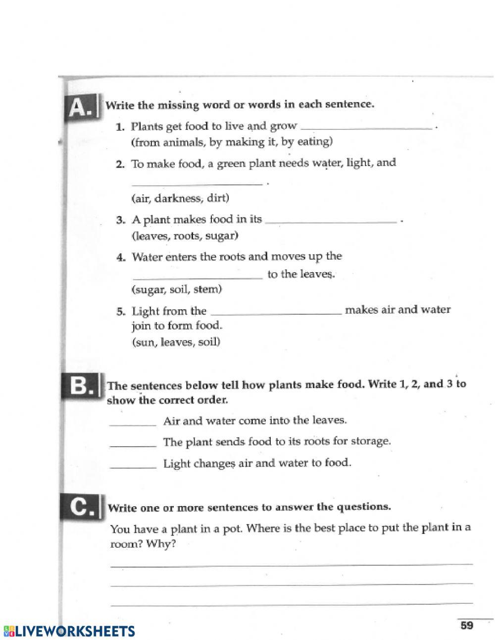 How Do Plants Make Food worksheet Live Worksheets