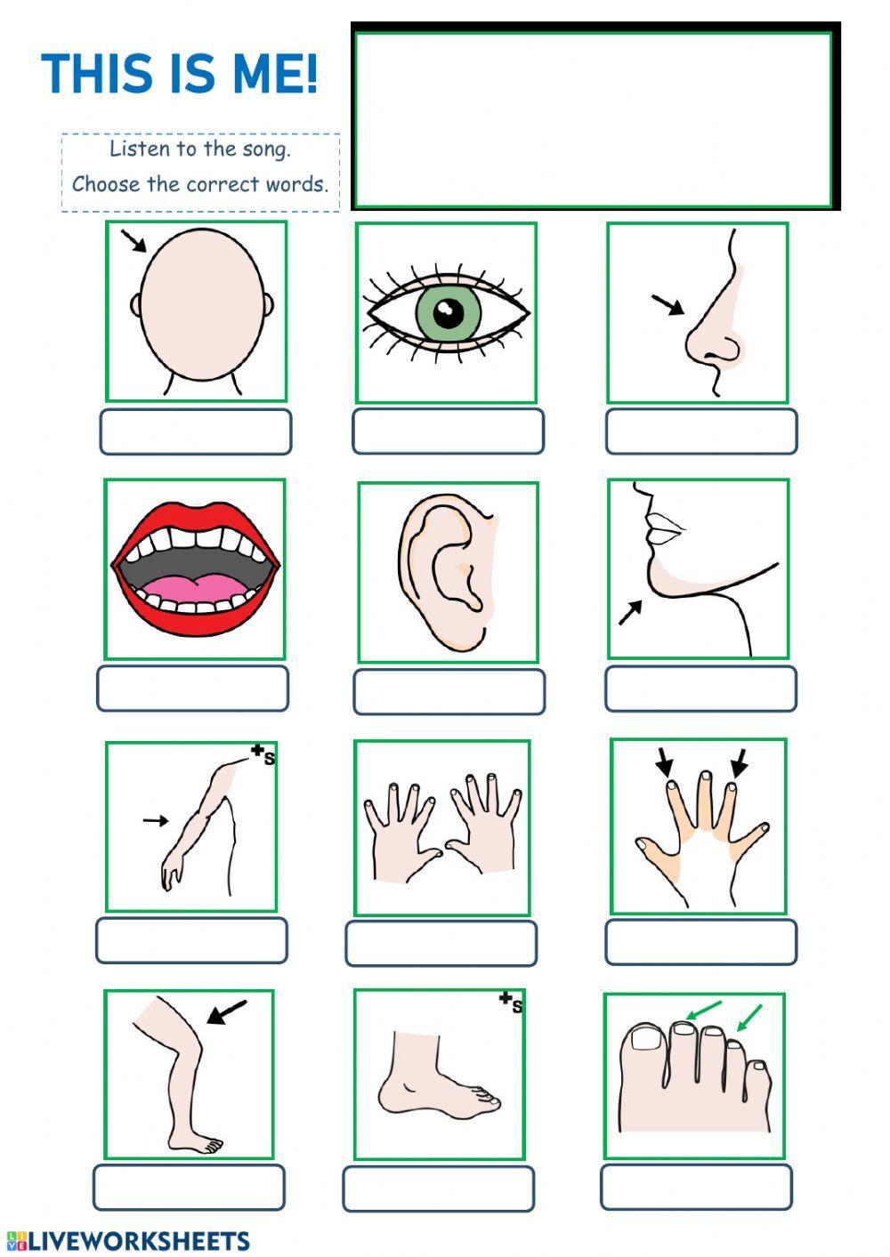 This is me! The body song