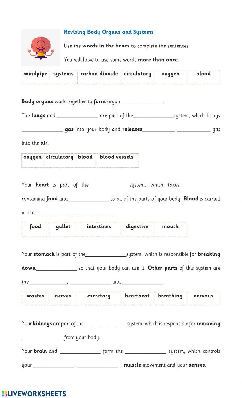 Revising Body Organs and Systems