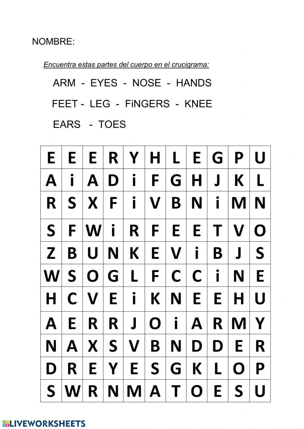 Body parts wordsearch