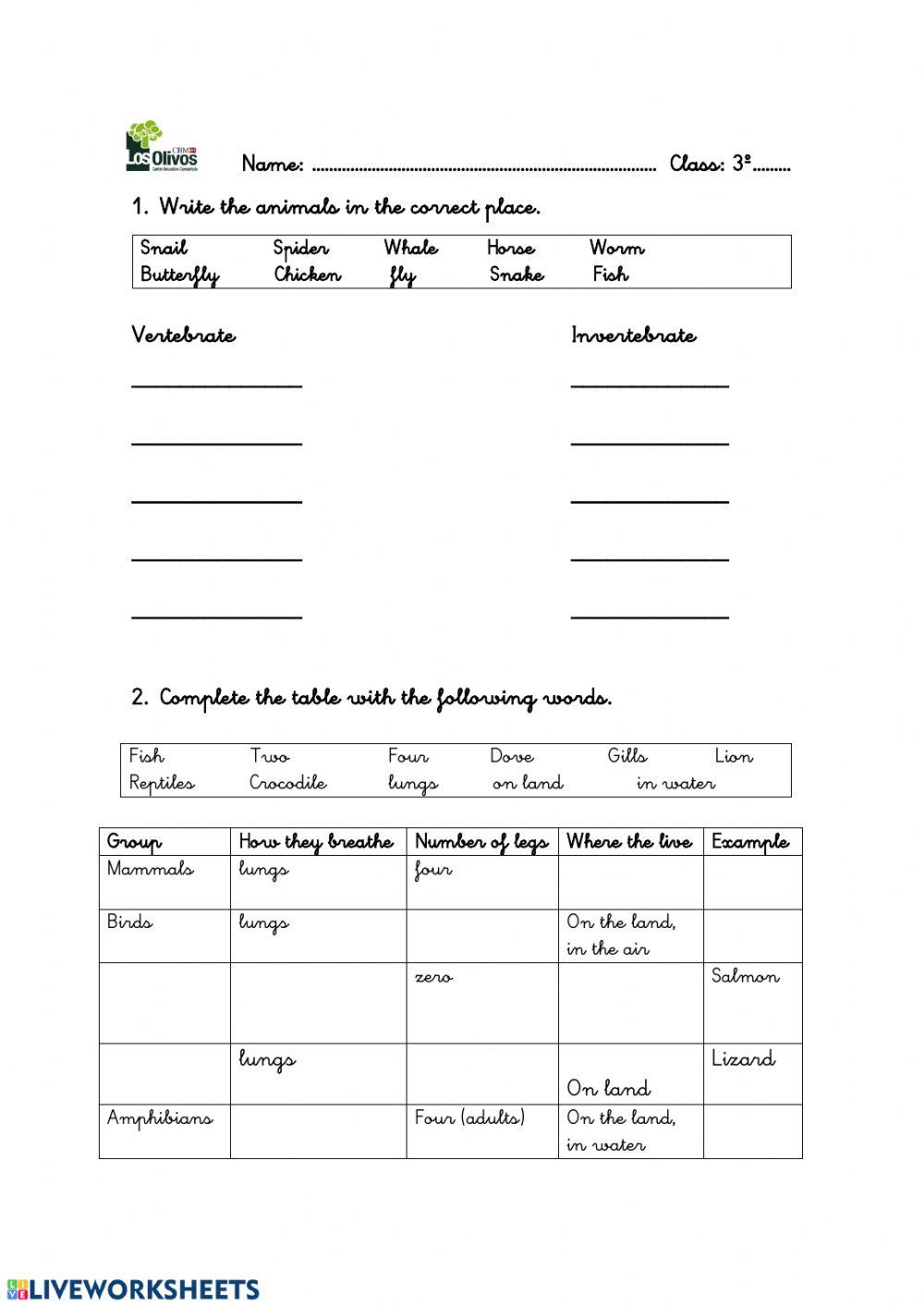 Vertebrate and invertebrate