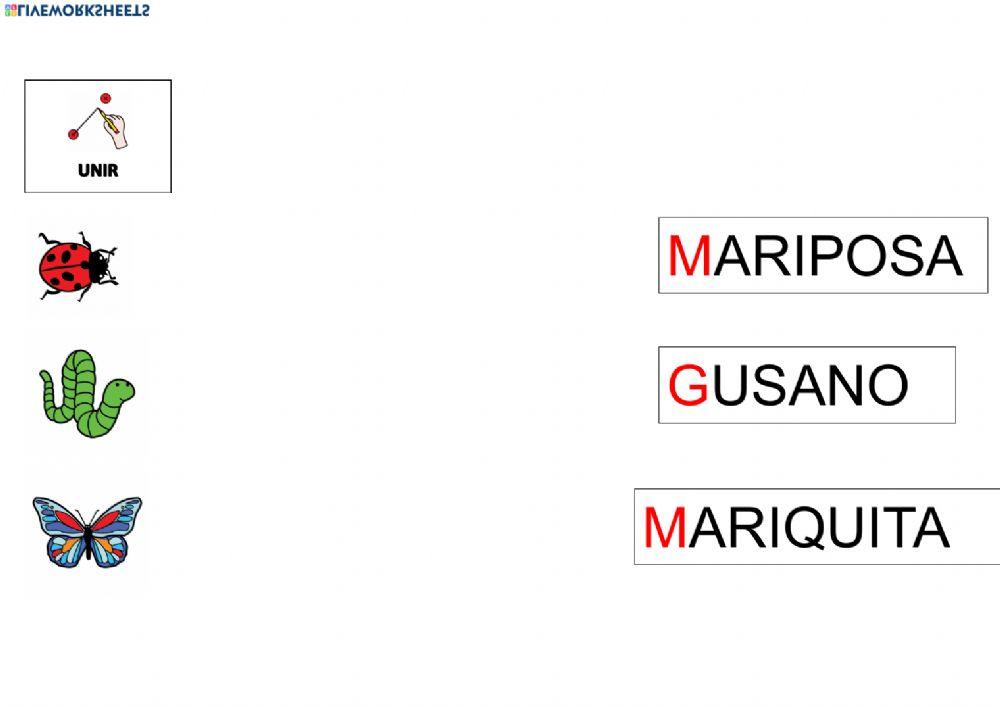 Vocabulario primavera palabras