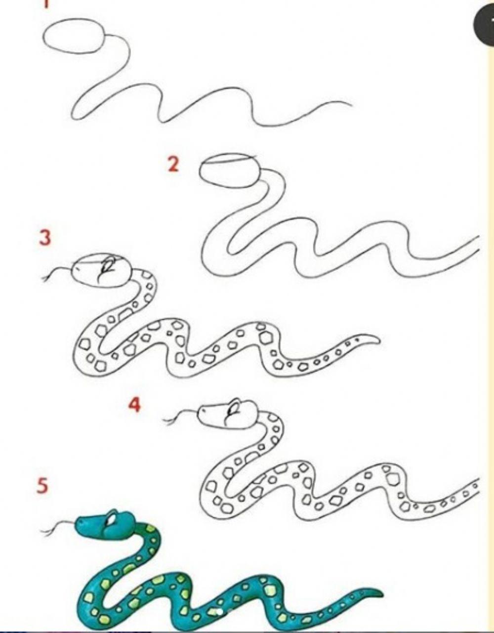 Pasos para dibujar una serpiente