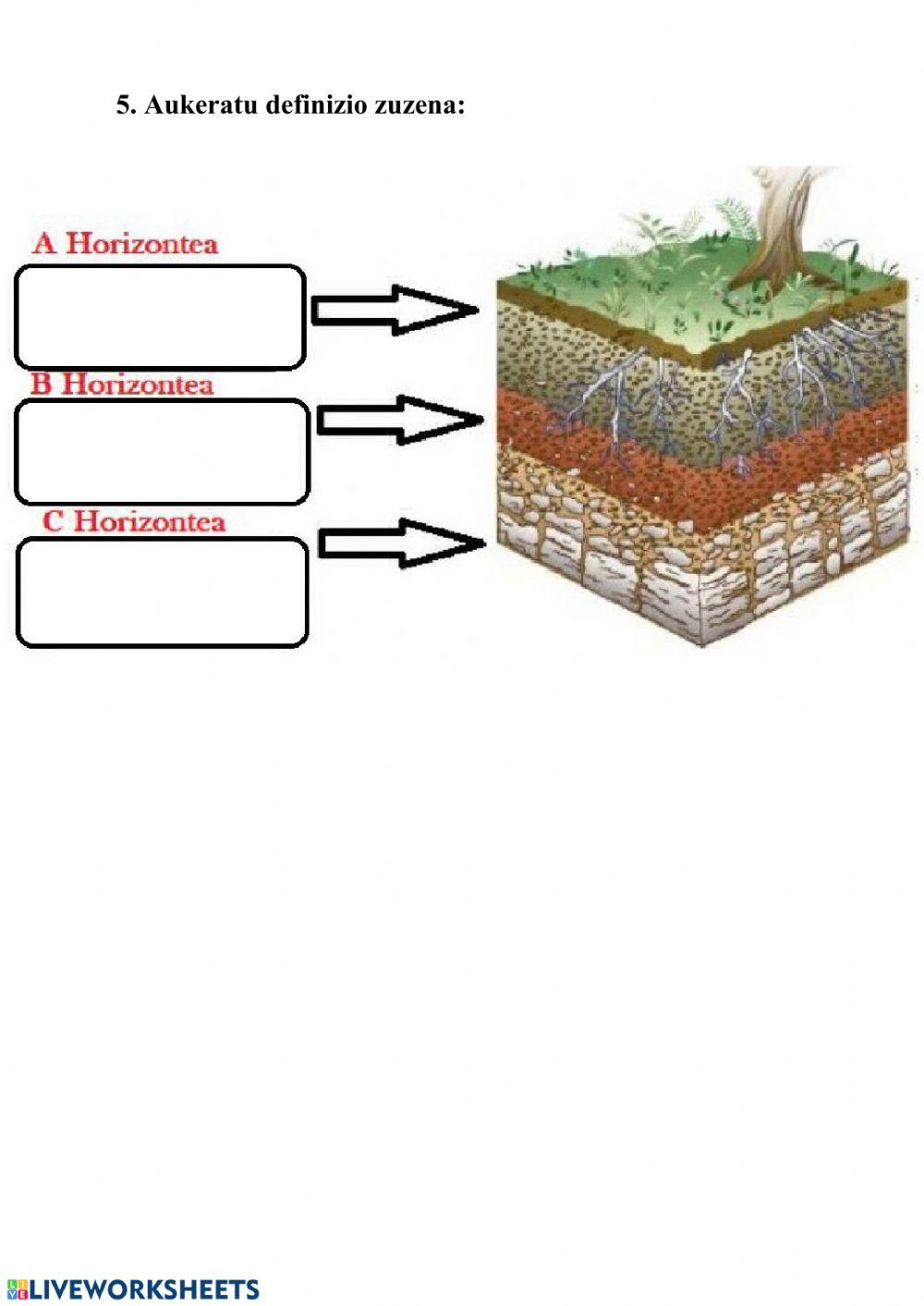 Lurra: errepaso ariketak