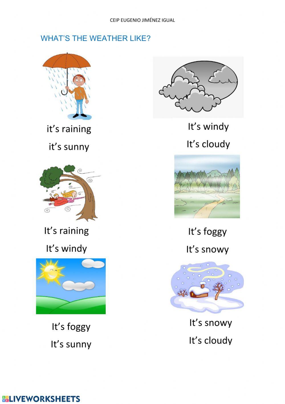 What's the weather like?