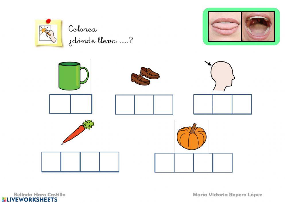 ¿Dónde lleva?...Z?