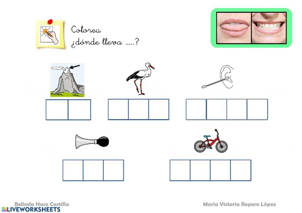 ¿Dónde lleva?...Z?