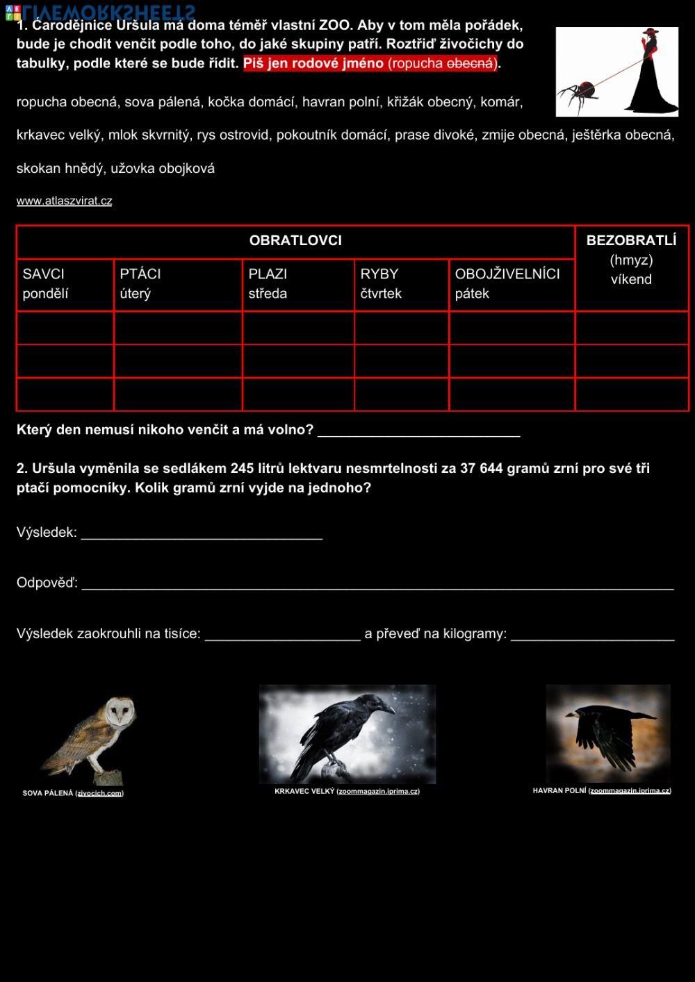 Čarodějnice - ČJ, M, PŘ