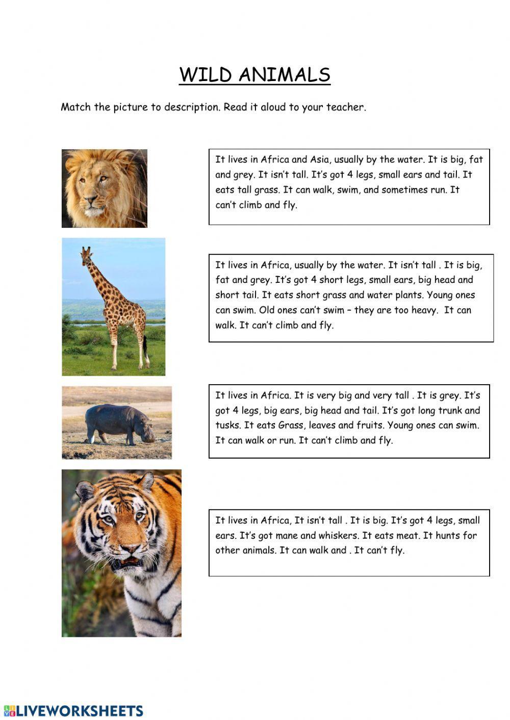 Vocabulary, Reading Wild Animals