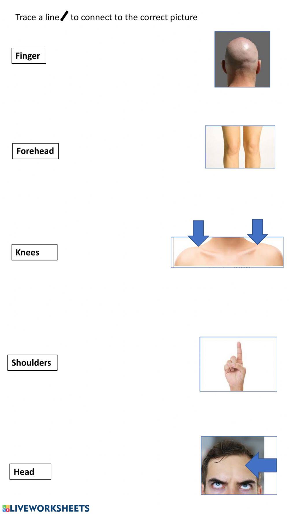 Trace and match body parts