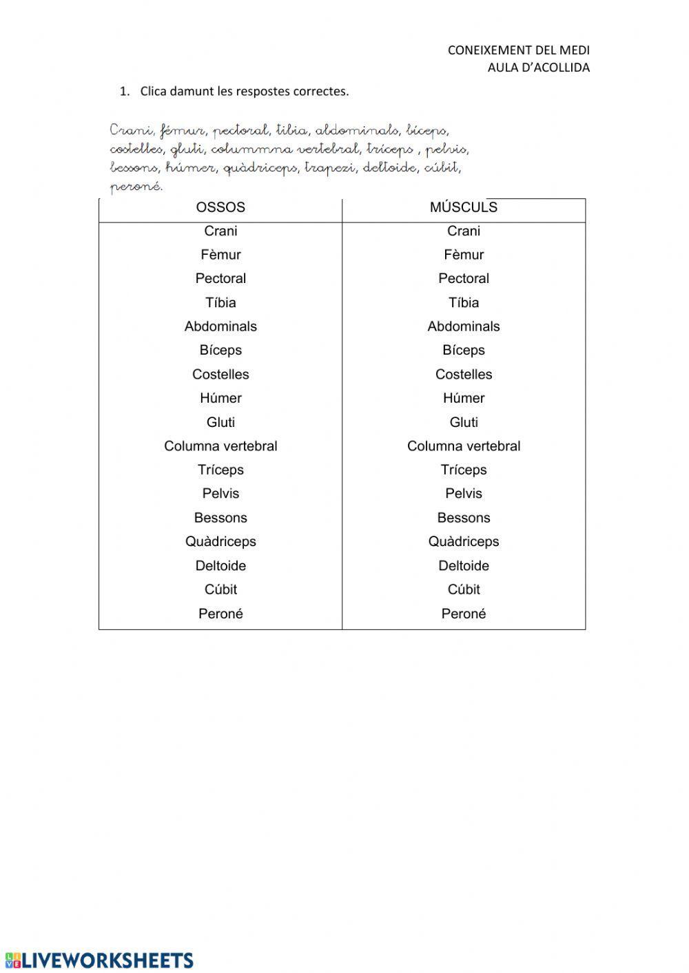 Adaptació Sentits i Ap locomotor