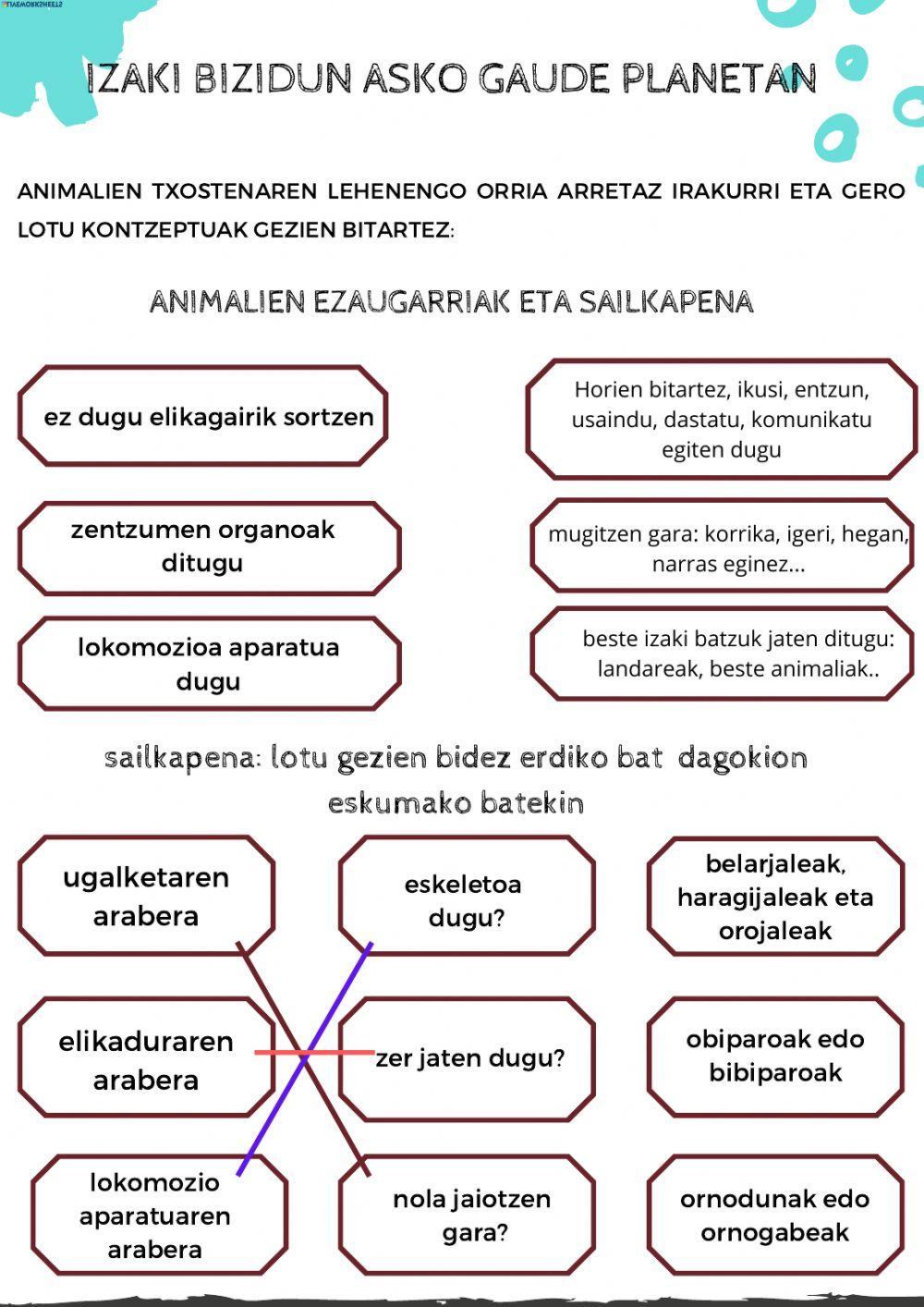 Animalien sailkapena 1