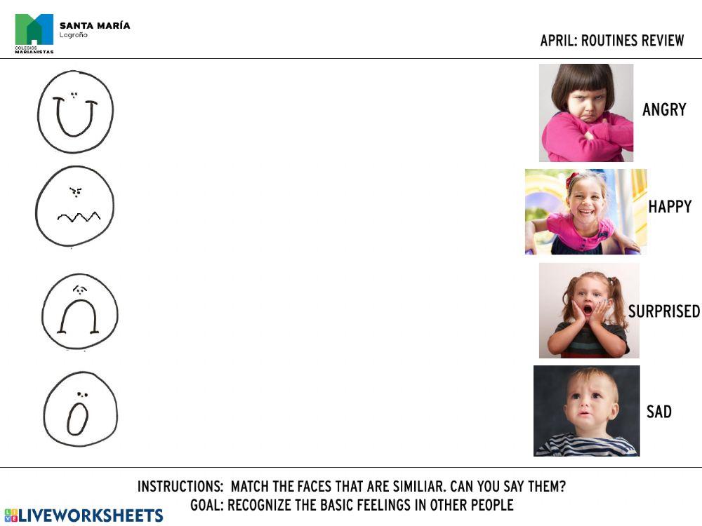 Feelings review for octopus and dolphins