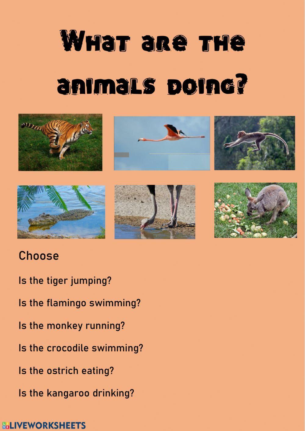 What are the animals doing? What are the animals doing?